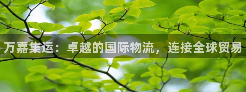 28圈PG电子游戏：万嘉集运：卓越的