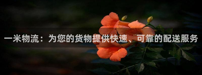 28圈里的财神：一米物流：为您的货物