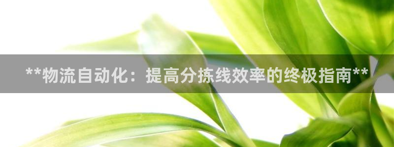 28圈麻将