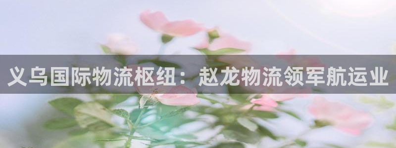 28圈.ccmpc29官网版：义乌国