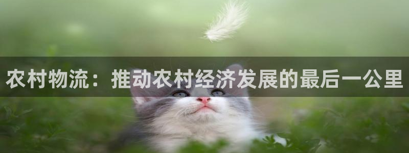 28圈.ccmpc正版