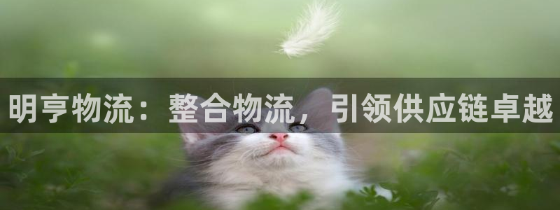28圈pg如何退钱：明亨物流：整合物
