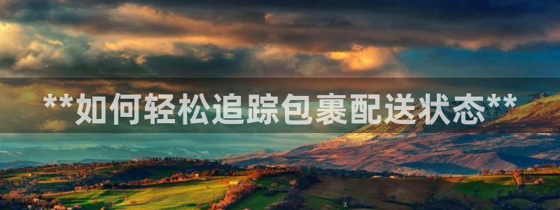 28圈防失联网址：**如何轻松追踪包