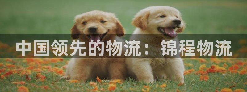28圈选28ng官网：中国领先的物流