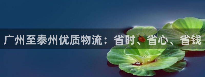 28圈下载链接是多少：广州至泰州优质