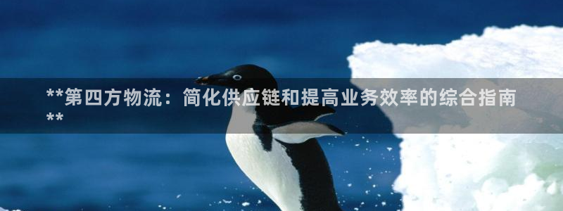 28圈游戏官网版：**第四方物流：简