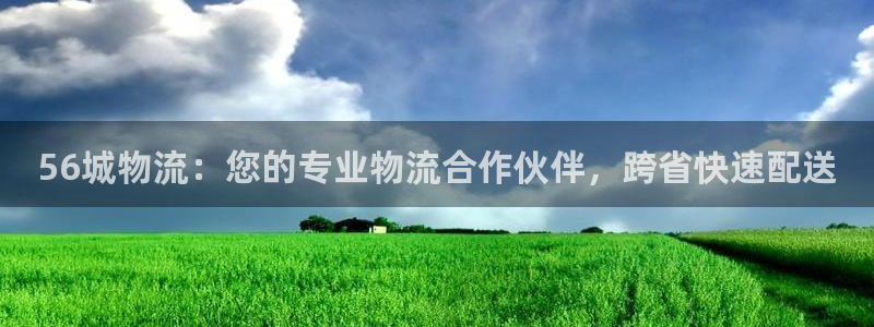 28圈注册账号：56城物流：您的专业