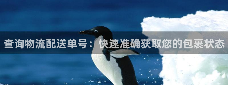 28圈昵称