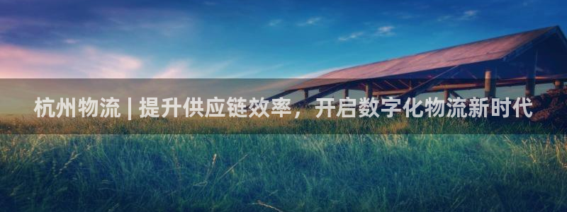28圈提现不到账：杭州物流 | 提升