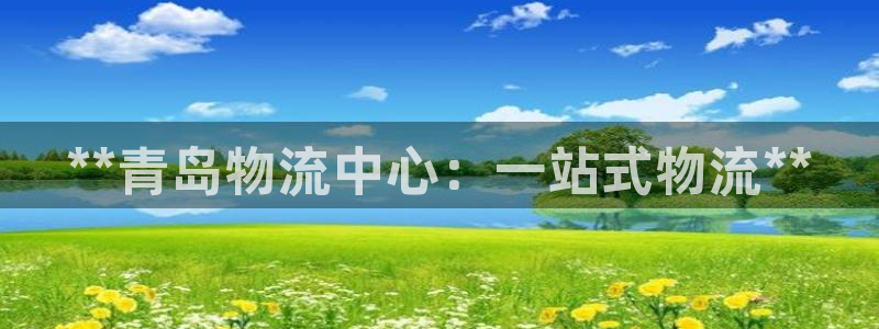 28圈模拟：**青岛物流中心：一站式