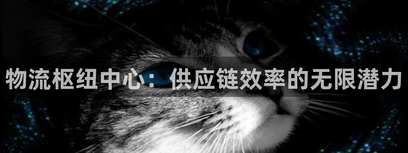 28圈ip被限制怎么解决：物流枢纽中