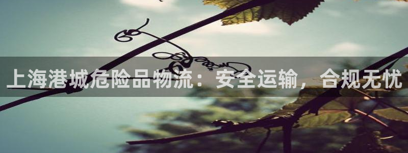 28圈入口问一问