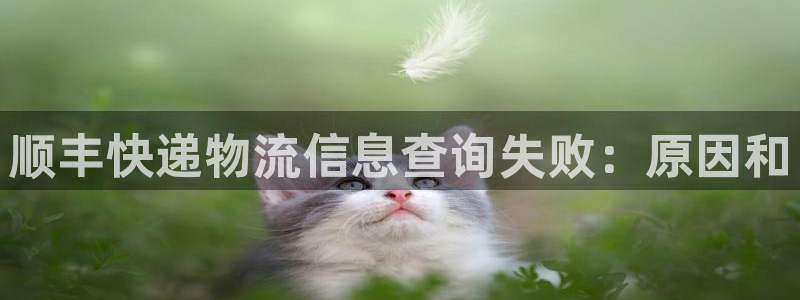 28圈那个才是充值账号