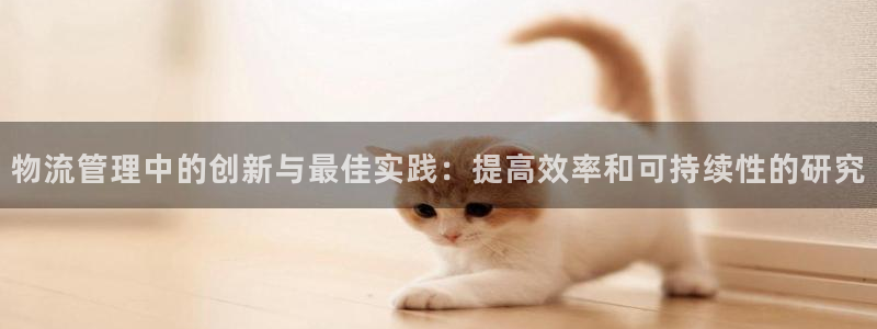 28圈官网平台：物流管理中的创新与最