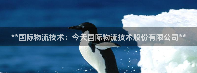 28圈激活码：**国际物流技术：今天