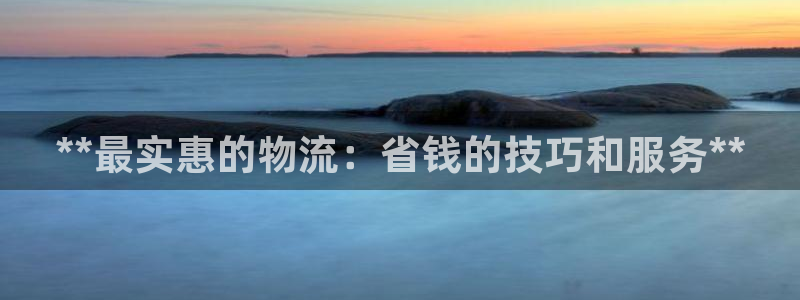 28圈加拿大技巧：**最实惠的物流：