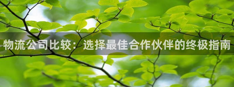 28圈充值不到账什么原因：物流公司比