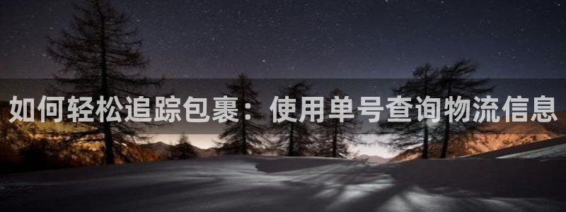 28圈链接：如何轻松追踪包裹：使用单