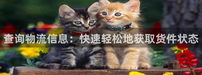 28圈体育下载：查询物流信息：快速轻