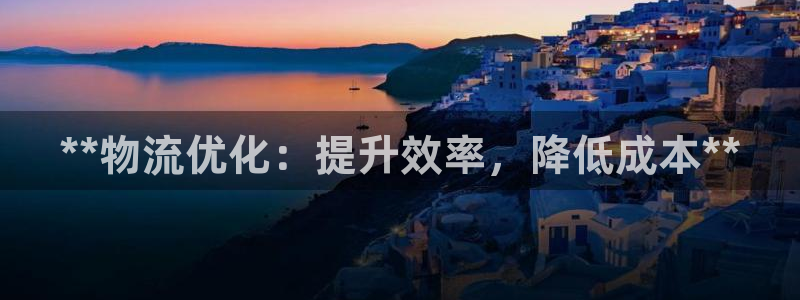 28圈模拟器：**物流优化：提升效率