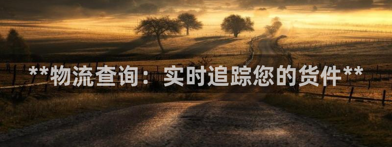 28圈加拿大下载：**物流查询：实时
