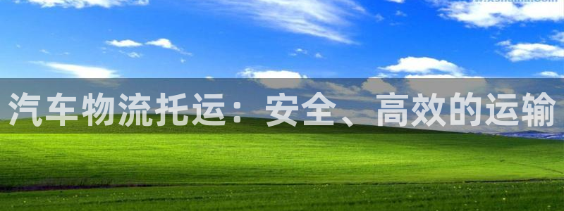 28圈防失联网址：汽车物流托运：安全