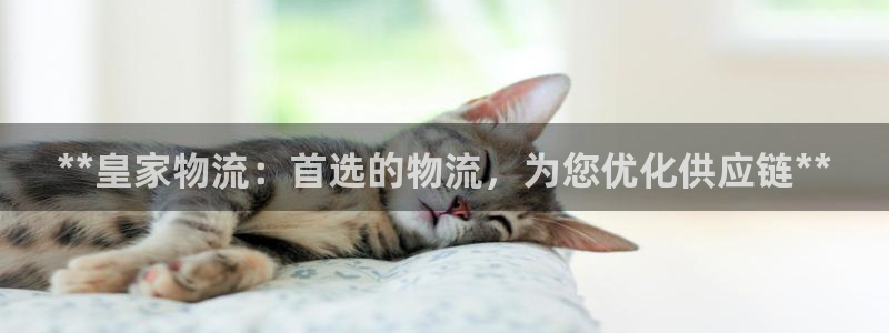 28圈连接：**皇家物流：首选的物流