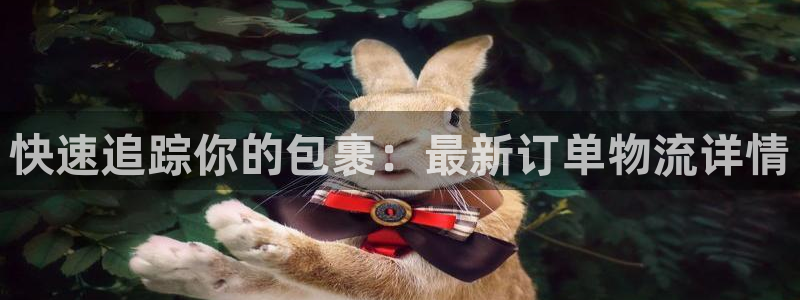 28圈预测网