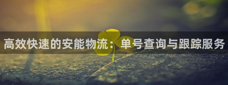 28圈怎么下载不了