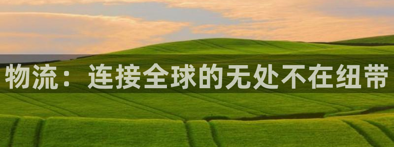 28圈在线预测官网