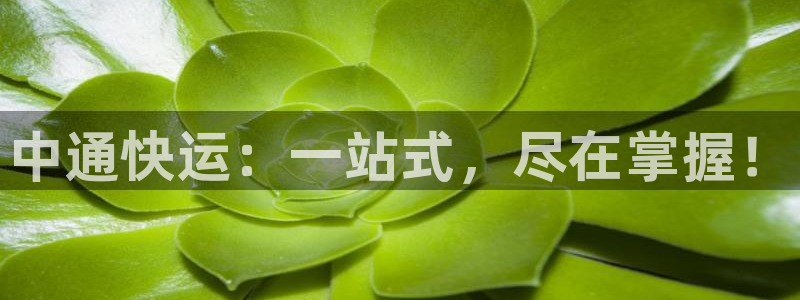 28圈正规吗：中通快运：一站式，尽在