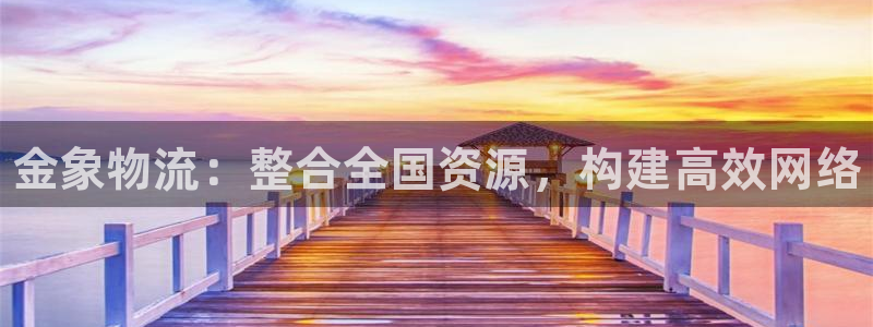 28圈是正规软件吗：金象物流：整合全