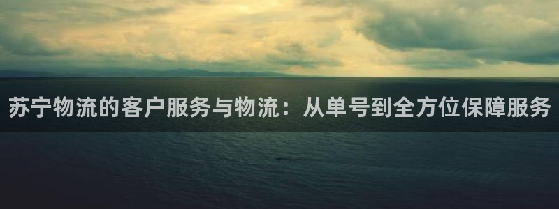 28圈官方平台：苏宁物流的客户服务与