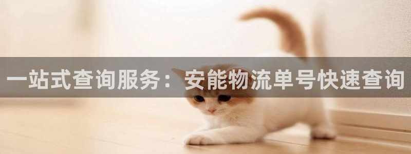 28圈绿骨头:一站式查询服务:安能物