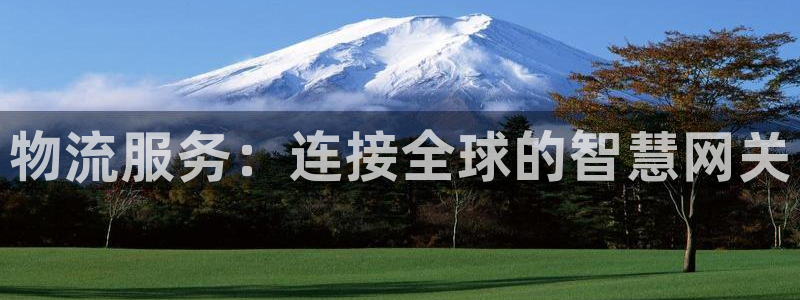 28圈链接是什么：物流服务：连接全球