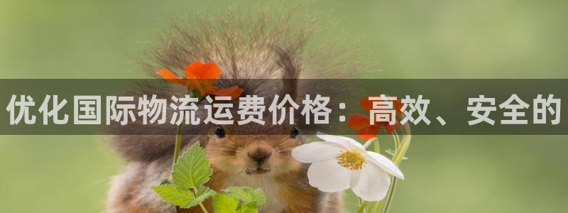 28圈合法吗：优化国际物流运费价格：