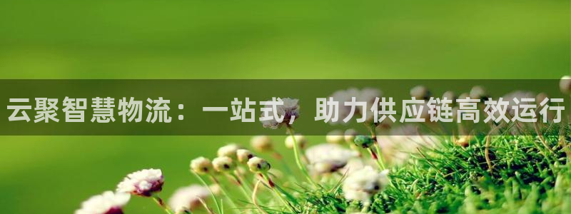 28圈下载体育：云聚智慧物流：一站式