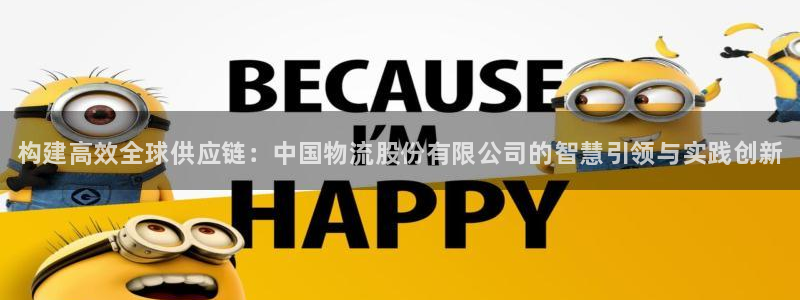 28圈加拿大开奖：构建高效全球供应链