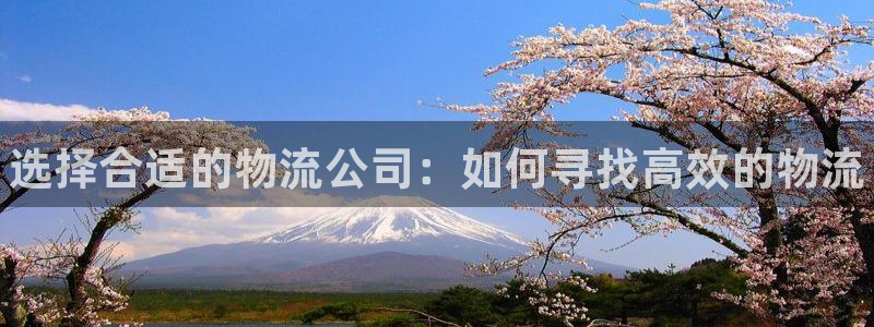 28圈下载链接是多少