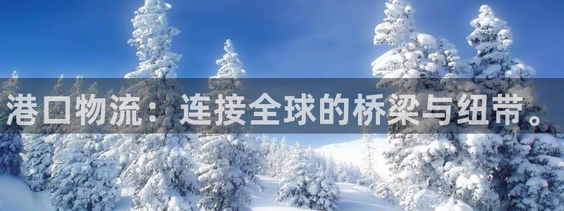 28圈预测：港口物流：连接全球的桥梁