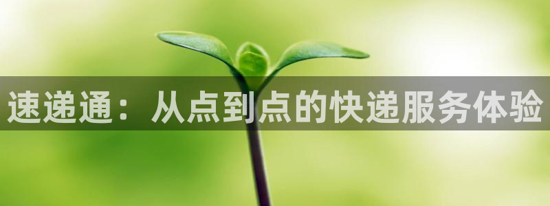 28圈赌博软件正规吗：速递通：从点到