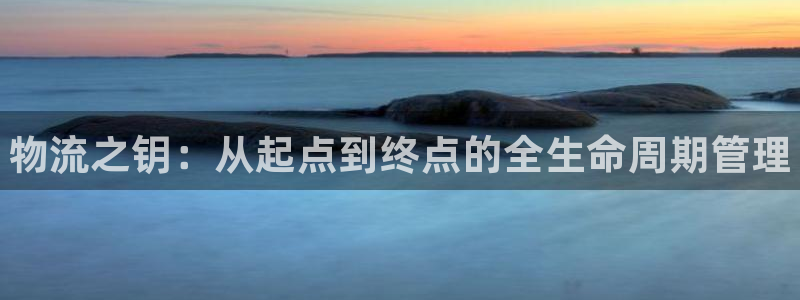 28圈怎么下载不了：物流之钥：从起点到终点的全生命周期管理