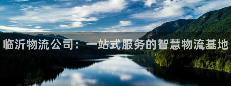 28圈链官网：临沂物流公司：一站式服