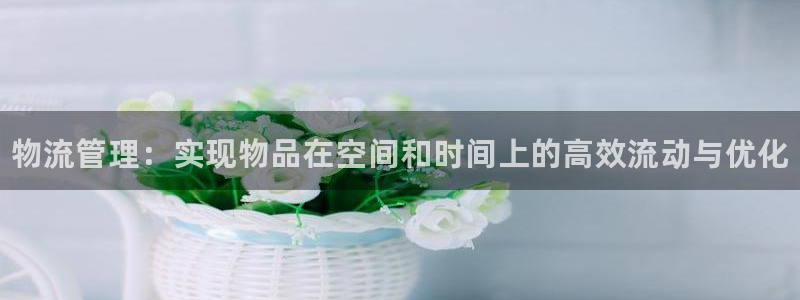 28圈稳吗:物流管理:实现物品在空间