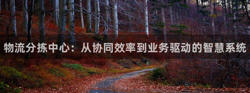 28圈PG电子游戏：物流分拣中心：从