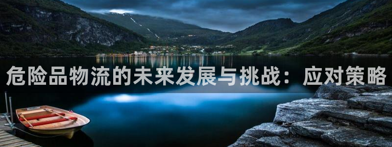 28圈吧：危险品物流的未来发展与挑战