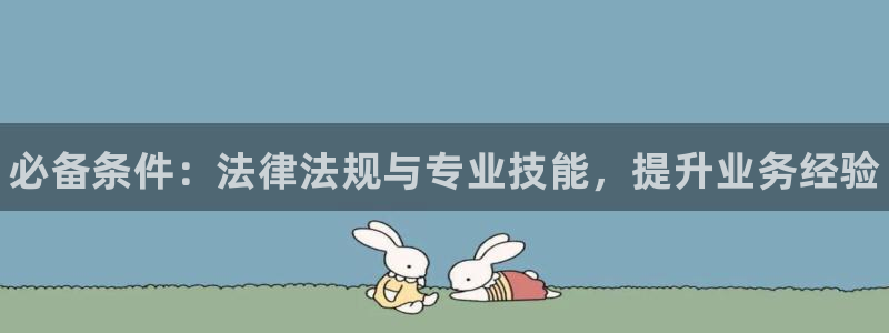 28圈选28ng官网：必备条件：法律法规与专业技能，提升业务