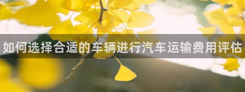 28圈违法吗：如何选择合适的车辆进行