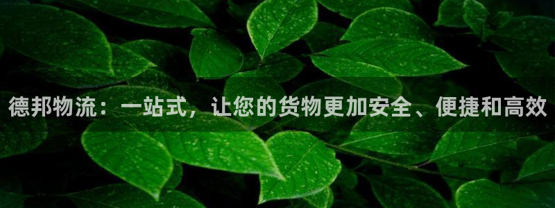 28圈娱乐官网网页：德邦物流：一站式